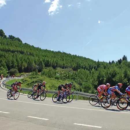 Apartment Lovely In With Wifi *